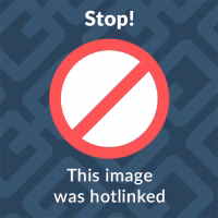 ¿Cuáles son las mejores abrazaderas de acero inoxidable?