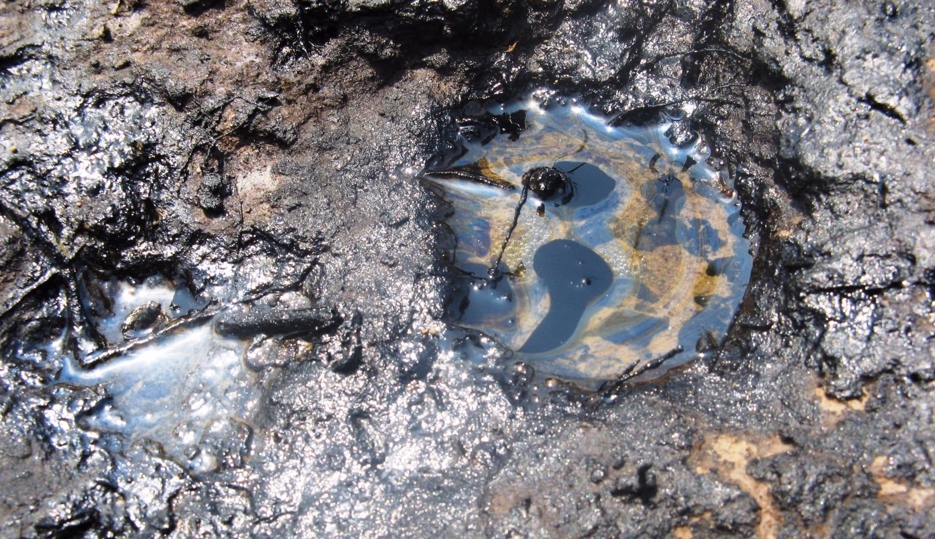 ¿Qué es la intoxicación por metales pesados?