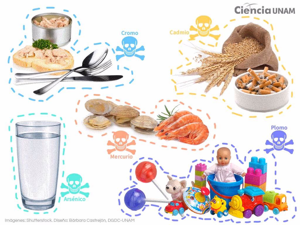 ¿Cuál es la relación entre la ocupación y las intoxicaciones por metales pesados?