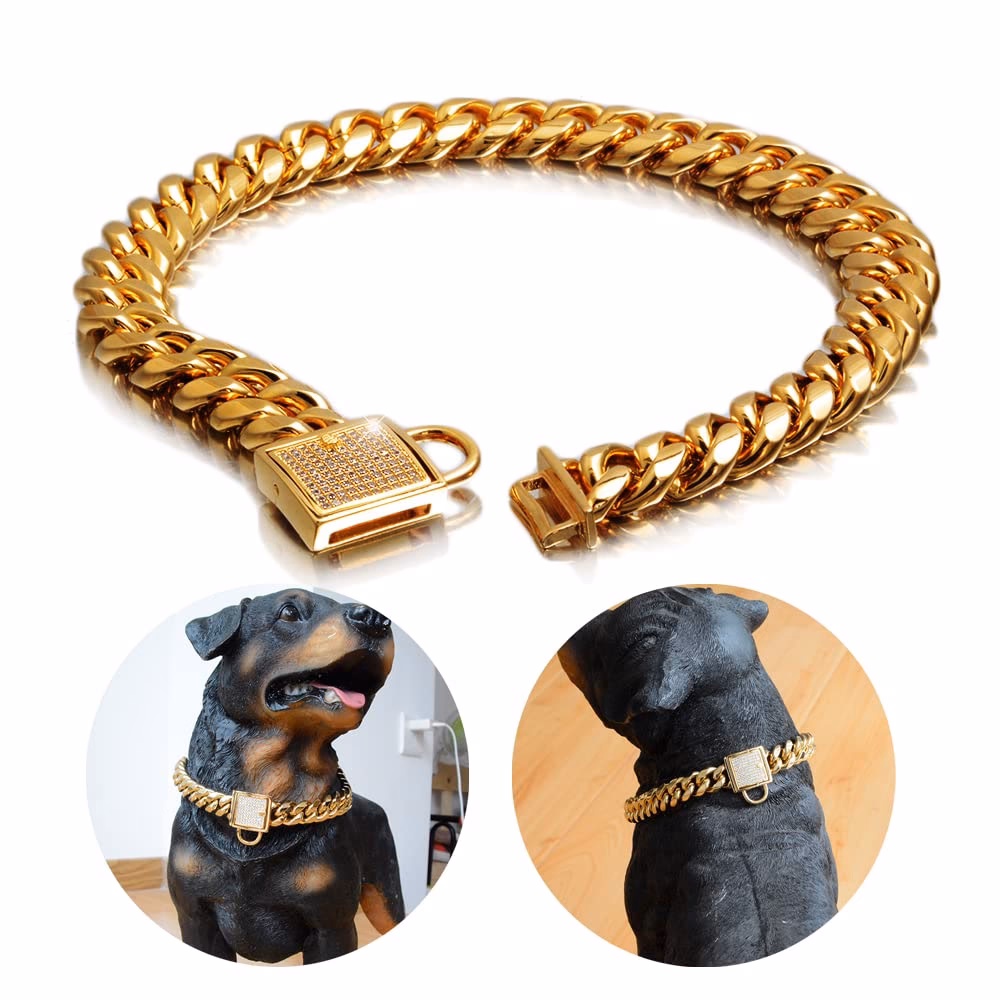 ¿Cómo conseguir el collar de perro?