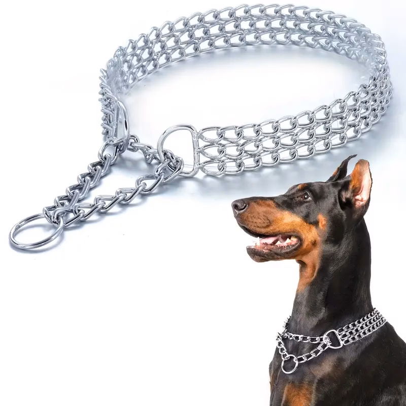 ¿Dónde encontrar los mejores collares para perros?