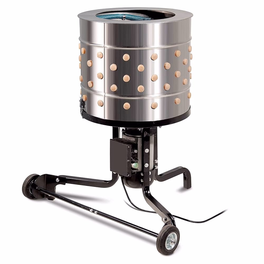 ¿Cómo se despluman las plumas de los pollos?