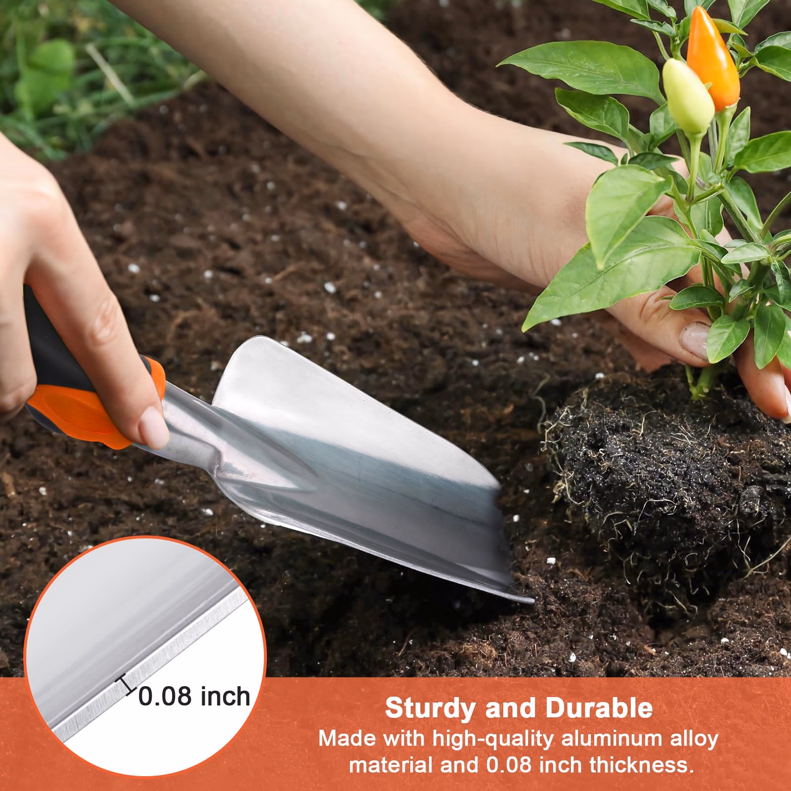 ¿Por qué la pala de modesta se sale del mango de madera?