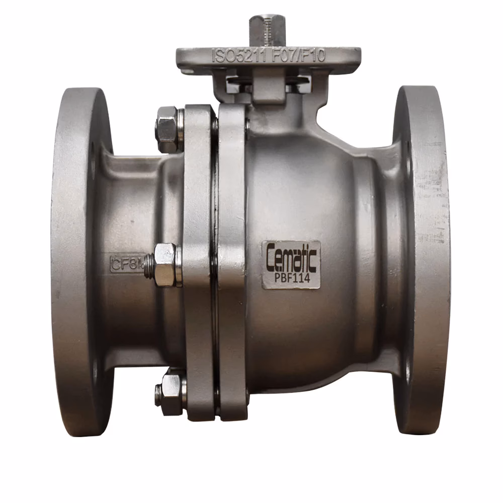 ¿Qué características tienen las válvulas de acero al carbón y acero inoxidable de DSi?